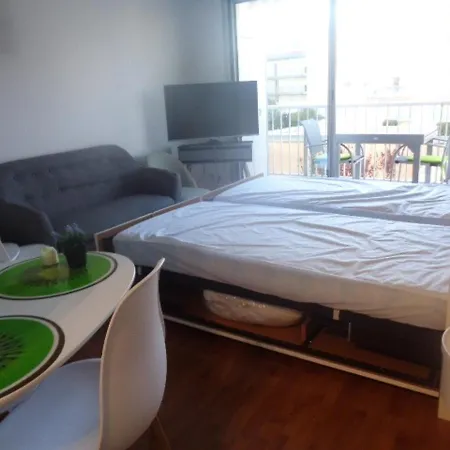 24m² Au Centre D'arcachon, Proche Gare Et Plage, Balcon Sud - Fr-1-374-104 Apartment *