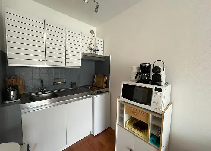 24m² Au Centre D'arcachon, Proche Gare Et Plage, Balcon Sud - Fr-1-374-104 Appartamento