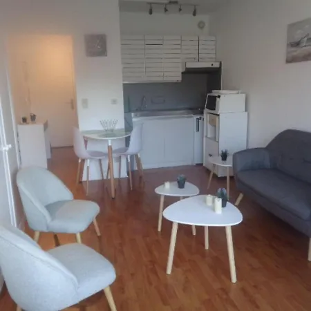 24m² Au Centre D'arcachon, Proche Gare Et Plage, Balcon Sud - Fr-1-374-104 Appartement